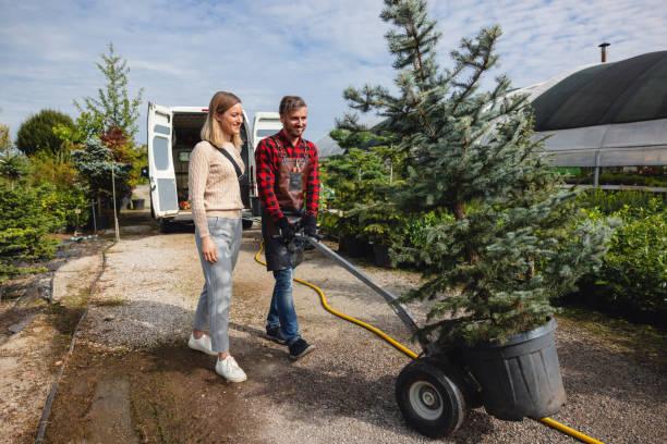 Best Seasonal Cleanup (Spring/Fall)  in Penn Yan, NY